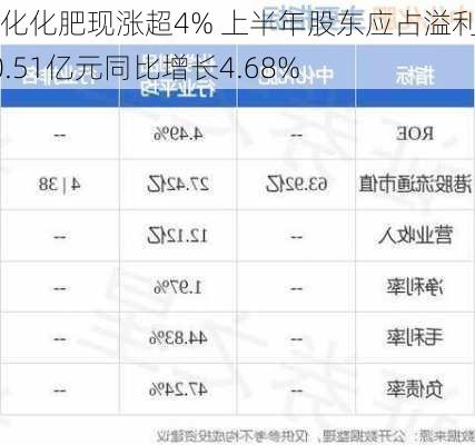 中化化肥现涨超4% 上半年股东应占溢利10.51亿元同比增长4.68%