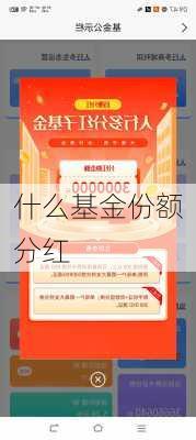 什么基金份额分红