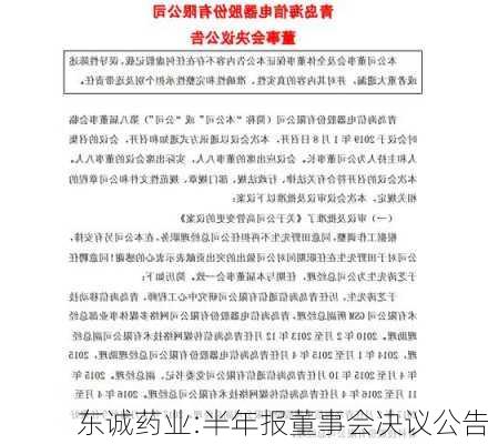 东诚药业:半年报董事会决议公告