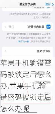 苹果手机输错密码被锁定后怎么办,苹果手机输错密码被锁定后怎么办呢