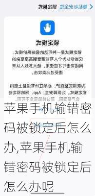 苹果手机输错密码被锁定后怎么办,苹果手机输错密码被锁定后怎么办呢