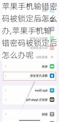 苹果手机输错密码被锁定后怎么办,苹果手机输错密码被锁定后怎么办呢