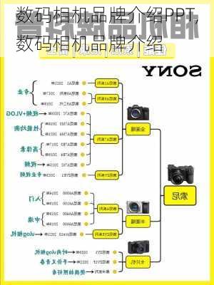 数码相机品牌介绍PPT,数码相机品牌介绍