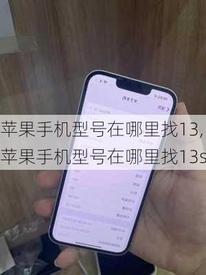 苹果手机型号在哪里找13,苹果手机型号在哪里找13s