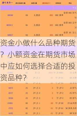 资金小做什么品种期货？小额资金在期货市场中应如何选择合适的投资品种？