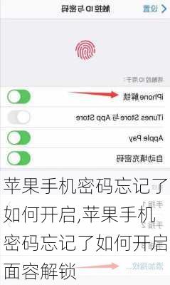 苹果手机密码忘记了如何开启,苹果手机密码忘记了如何开启面容解锁