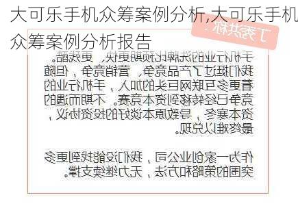 大可乐手机众筹案例分析,大可乐手机众筹案例分析报告