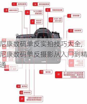 尼康数码单反实拍技巧大全,尼康数码单反摄影从入门到精通