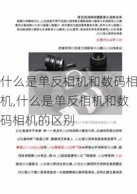 什么是单反相机和数码相机,什么是单反相机和数码相机的区别