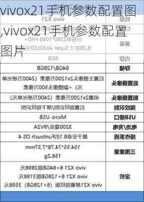 vivox21手机参数配置图,vivox21手机参数配置图片