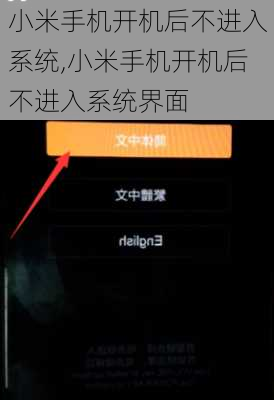 小米手机开机后不进入系统,小米手机开机后不进入系统界面