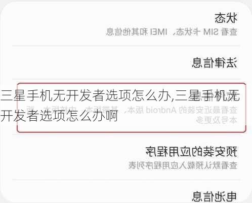 三星手机无开发者选项怎么办,三星手机无开发者选项怎么办啊