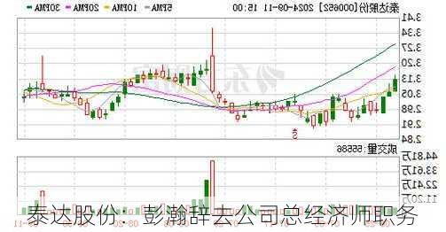 泰达股份：彭瀚辞去公司总经济师职务