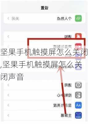 坚果手机触摸屏怎么关闭,坚果手机触摸屏怎么关闭声音