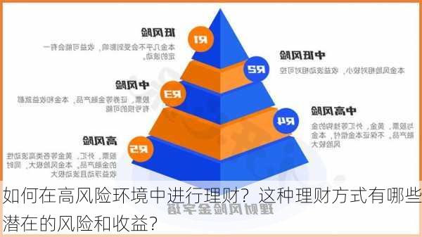 如何在高风险环境中进行理财？这种理财方式有哪些潜在的风险和收益？