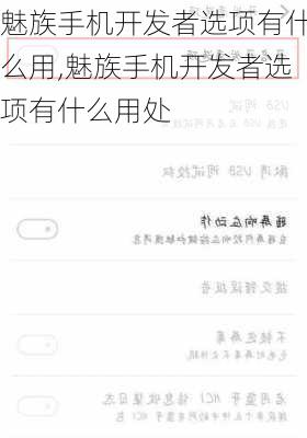 魅族手机开发者选项有什么用,魅族手机开发者选项有什么用处