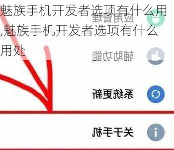 魅族手机开发者选项有什么用,魅族手机开发者选项有什么用处