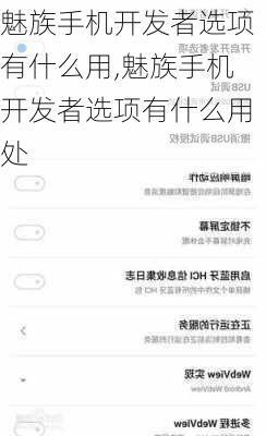 魅族手机开发者选项有什么用,魅族手机开发者选项有什么用处