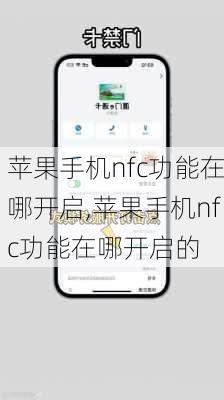 苹果手机nfc功能在哪开启,苹果手机nfc功能在哪开启的