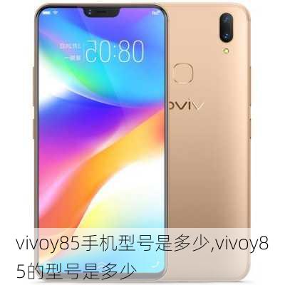 vivoy85手机型号是多少,vivoy85的型号是多少