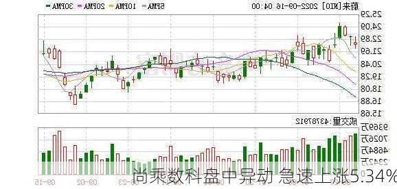 尚乘数科盘中异动 急速上涨5.34%