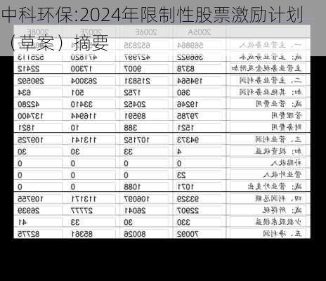 中科环保:2024年限制性股票激励计划（草案）摘要