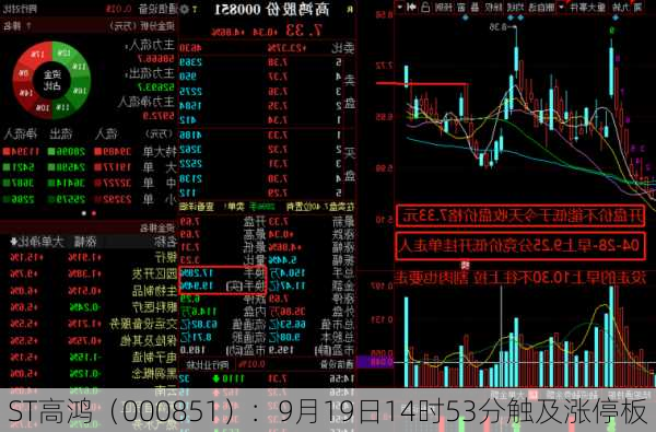 ST高鸿（000851）：9月19日14时53分触及涨停板