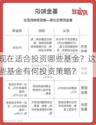 现在适合投资哪些基金？这些基金有何投资策略？