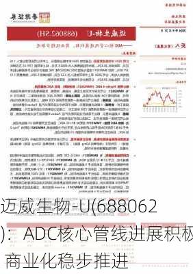 迈威生物-U(688062)：ADC核心管线进展积极 商业化稳步推进