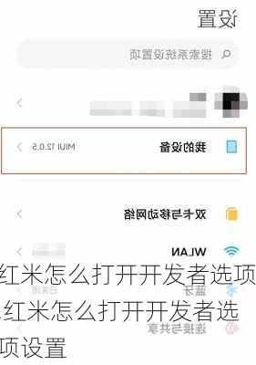 红米怎么打开开发者选项,红米怎么打开开发者选项设置