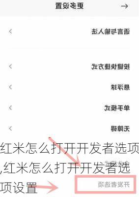 红米怎么打开开发者选项,红米怎么打开开发者选项设置