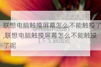 联想电脑触摸屏幕怎么不能触摸了,联想电脑触摸屏幕怎么不能触摸了呢