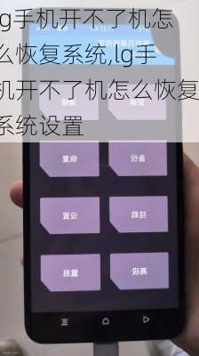lg手机开不了机怎么恢复系统,lg手机开不了机怎么恢复系统设置