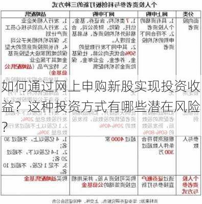 如何通过网上申购新股实现投资收益？这种投资方式有哪些潜在风险？