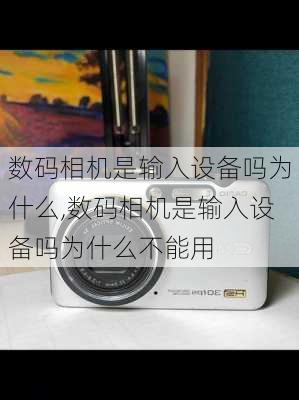 数码相机是输入设备吗为什么,数码相机是输入设备吗为什么不能用