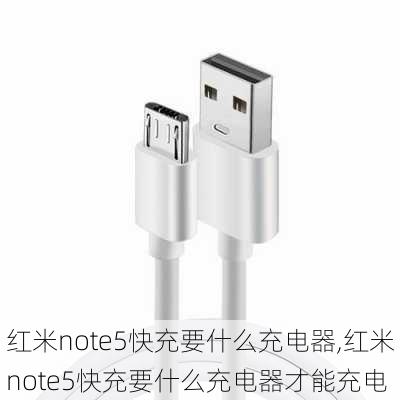 红米note5快充要什么充电器,红米note5快充要什么充电器才能充电