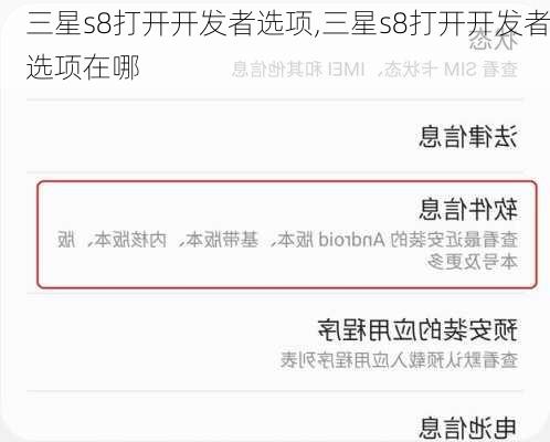 三星s8打开开发者选项,三星s8打开开发者选项在哪