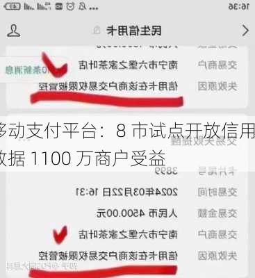 移动支付平台：8 市试点开放信用数据 1100 万商户受益