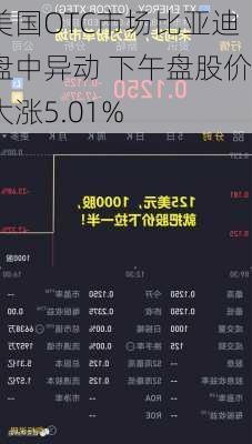 美国OTC市场比亚迪盘中异动 下午盘股价大涨5.01%