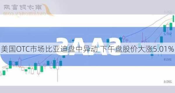 美国OTC市场比亚迪盘中异动 下午盘股价大涨5.01%