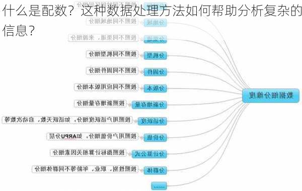 什么是配数？这种数据处理方法如何帮助分析复杂的信息？