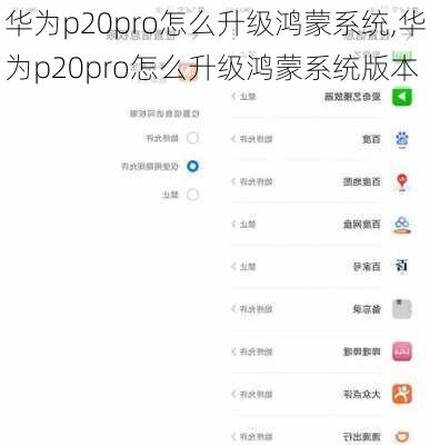 华为p20pro怎么升级鸿蒙系统,华为p20pro怎么升级鸿蒙系统版本