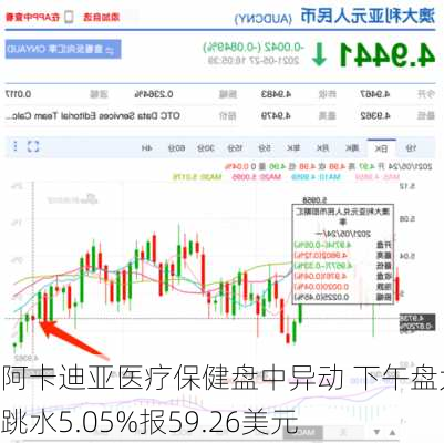 阿卡迪亚医疗保健盘中异动 下午盘大幅跳水5.05%报59.26美元