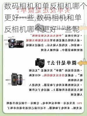 数码相机和单反相机哪个更好一些,数码相机和单反相机哪个更好一些呢