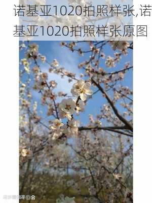 诺基亚1020拍照样张,诺基亚1020拍照样张原图