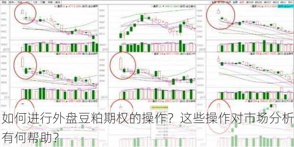 如何进行外盘豆粕期权的操作？这些操作对市场分析有何帮助？