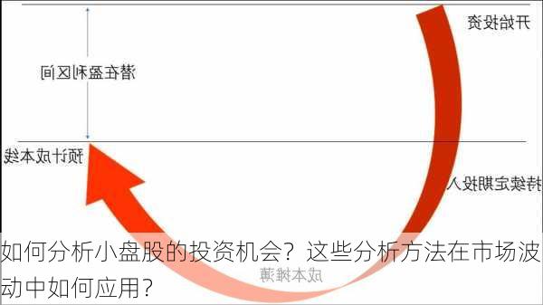 如何分析小盘股的投资机会？这些分析方法在市场波动中如何应用？