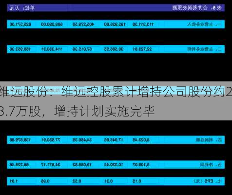 维远股份：维远控股累计增持公司股份约23.7万股，增持计划实施完毕