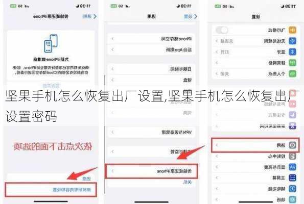 坚果手机怎么恢复出厂设置,坚果手机怎么恢复出厂设置密码