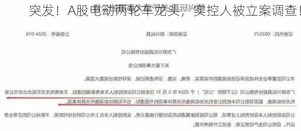 突发！A股电动两轮车龙头，实控人被立案调查！